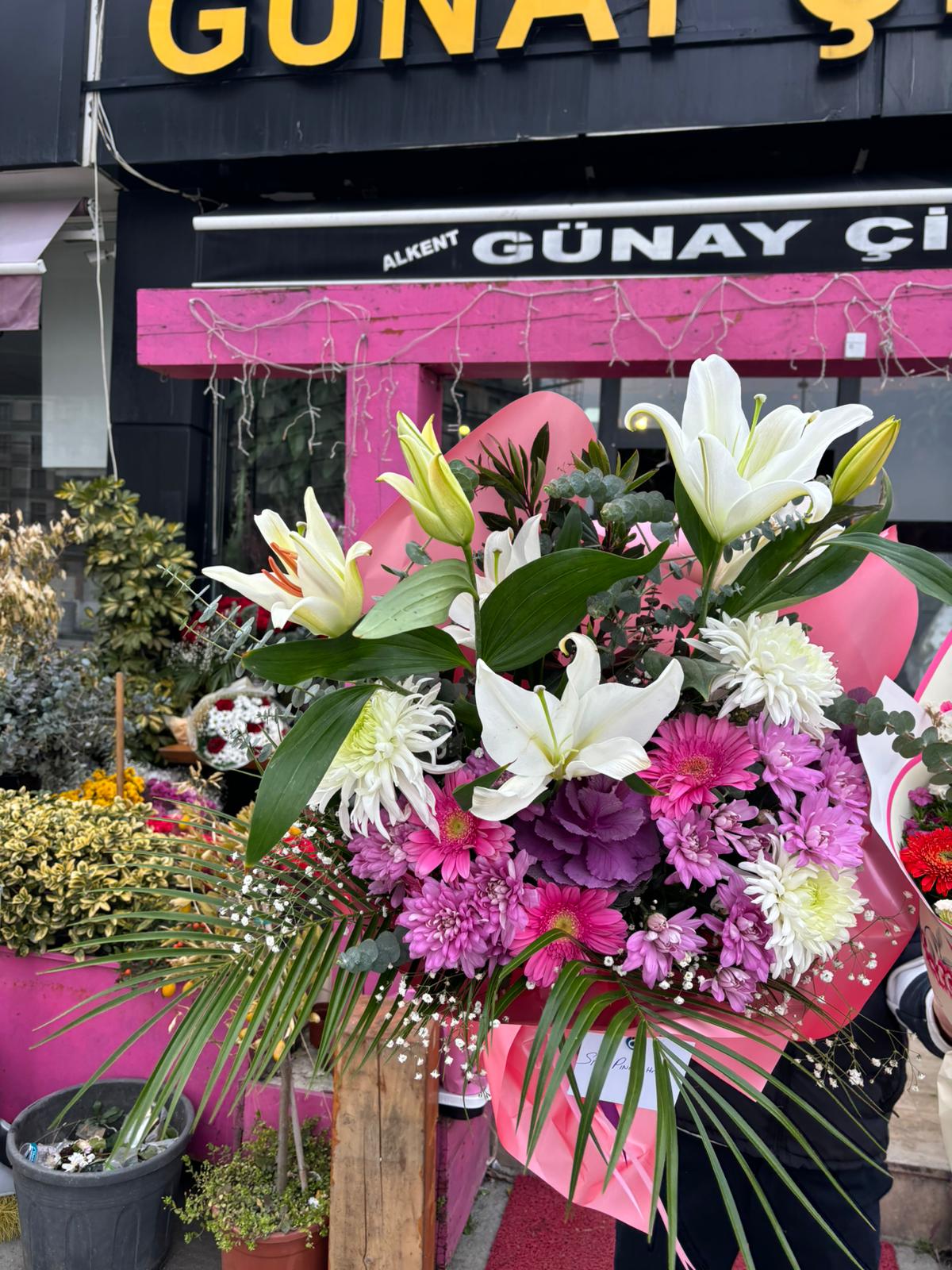 lilyum  aşkına mor 