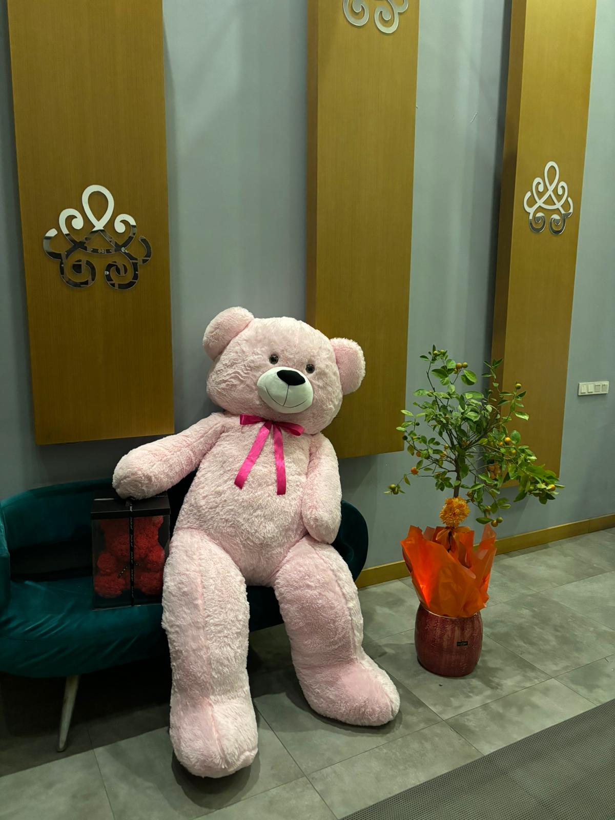 200 cm ayı ve kutu çiçek 