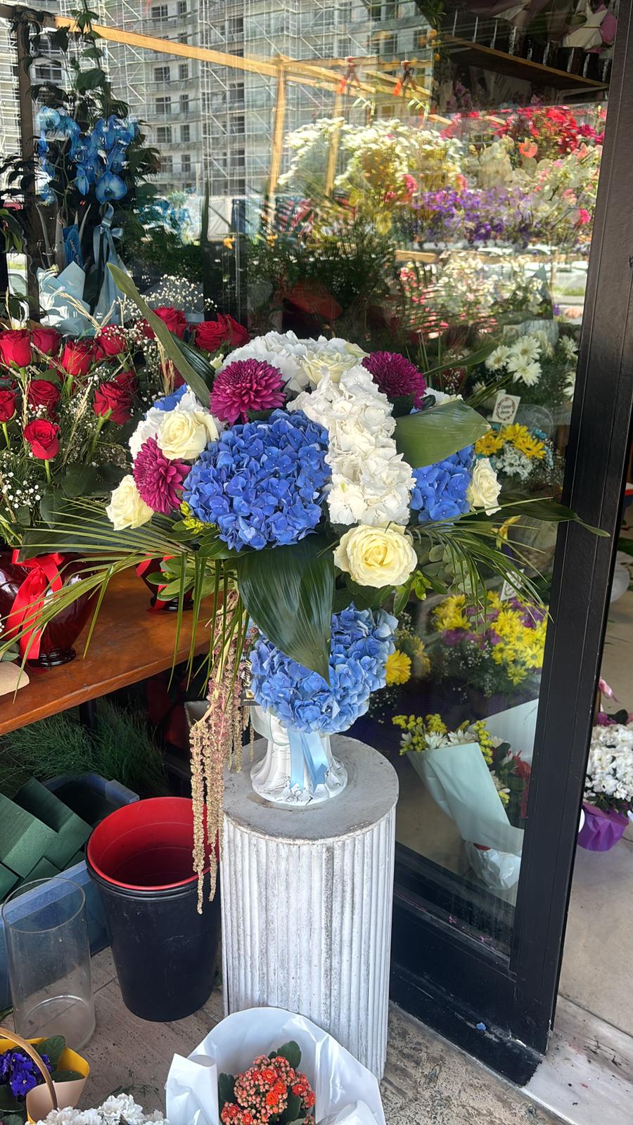 ŞAKAYIK ORTANCA VİP 2  