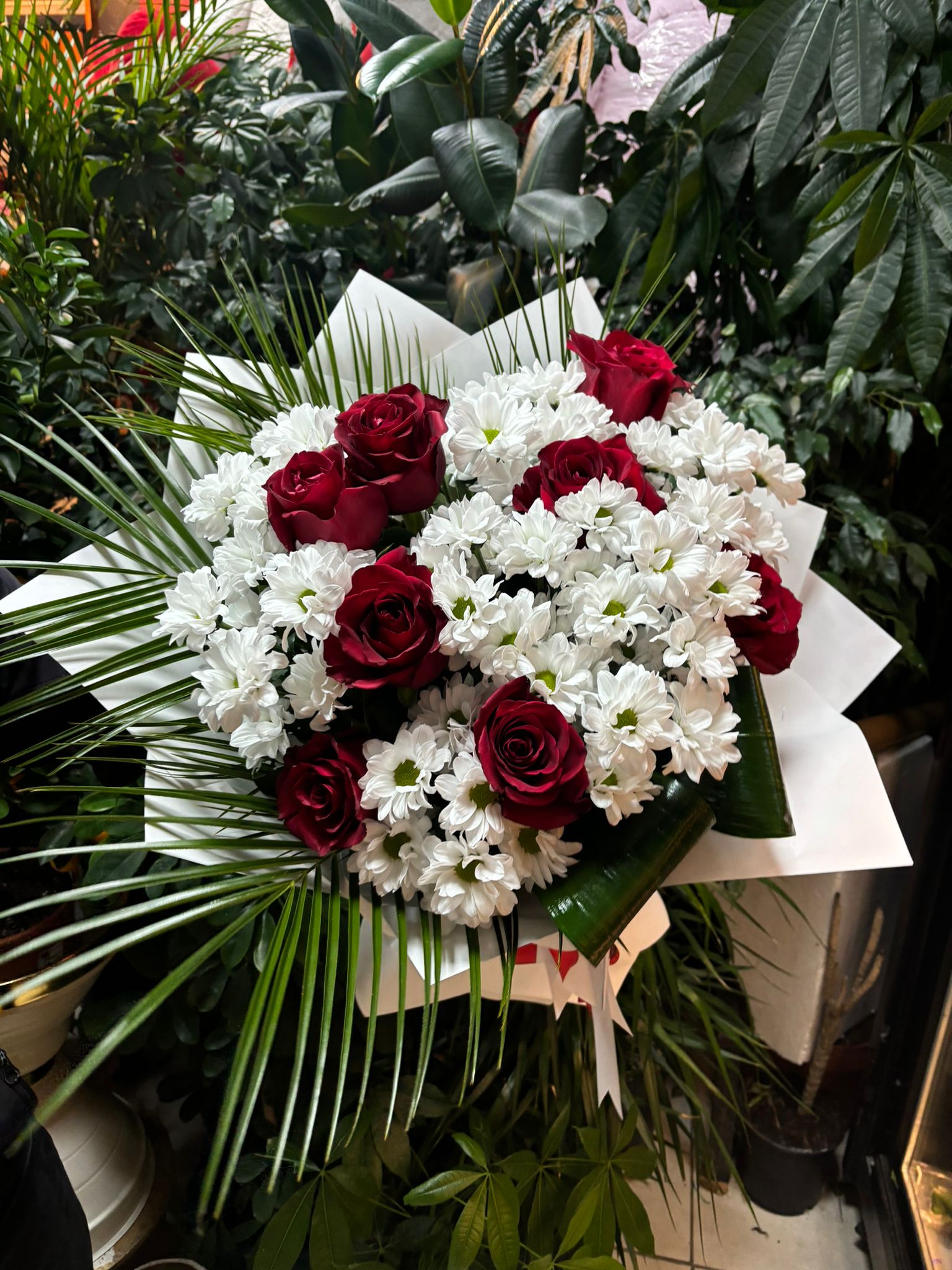 papatya-gül oda beni seviyor  