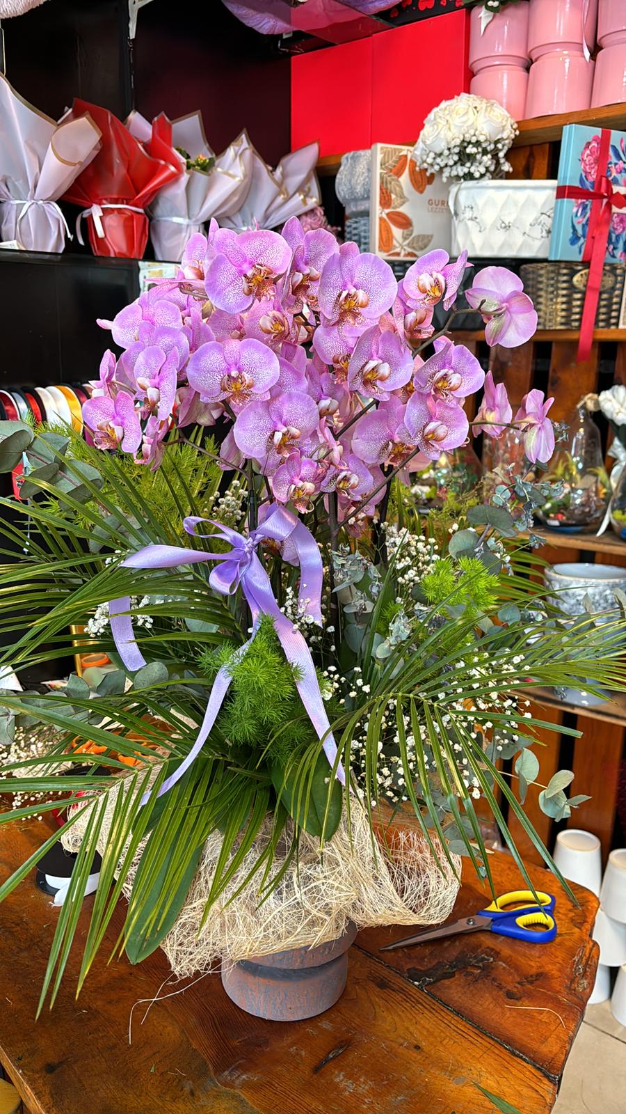 İTHAL ORKİDE MİX FUŞE 