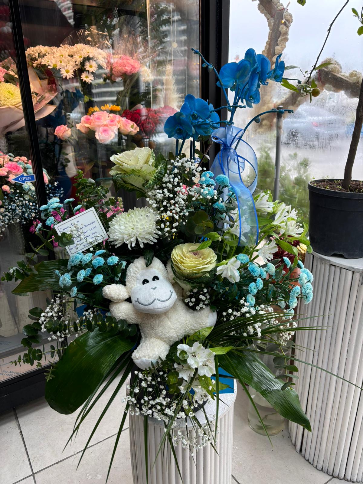 yeni doğan erkek bebek tasarımı 