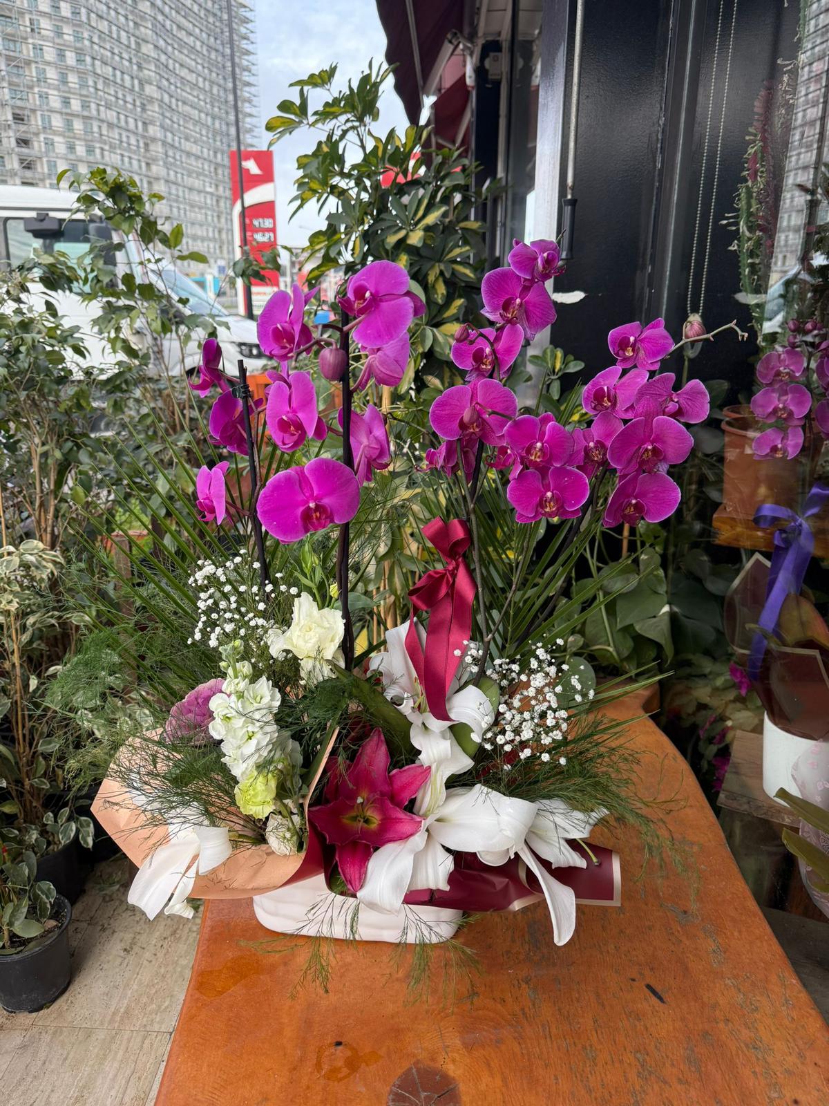 MOR ORKİDE ARANJMANI 