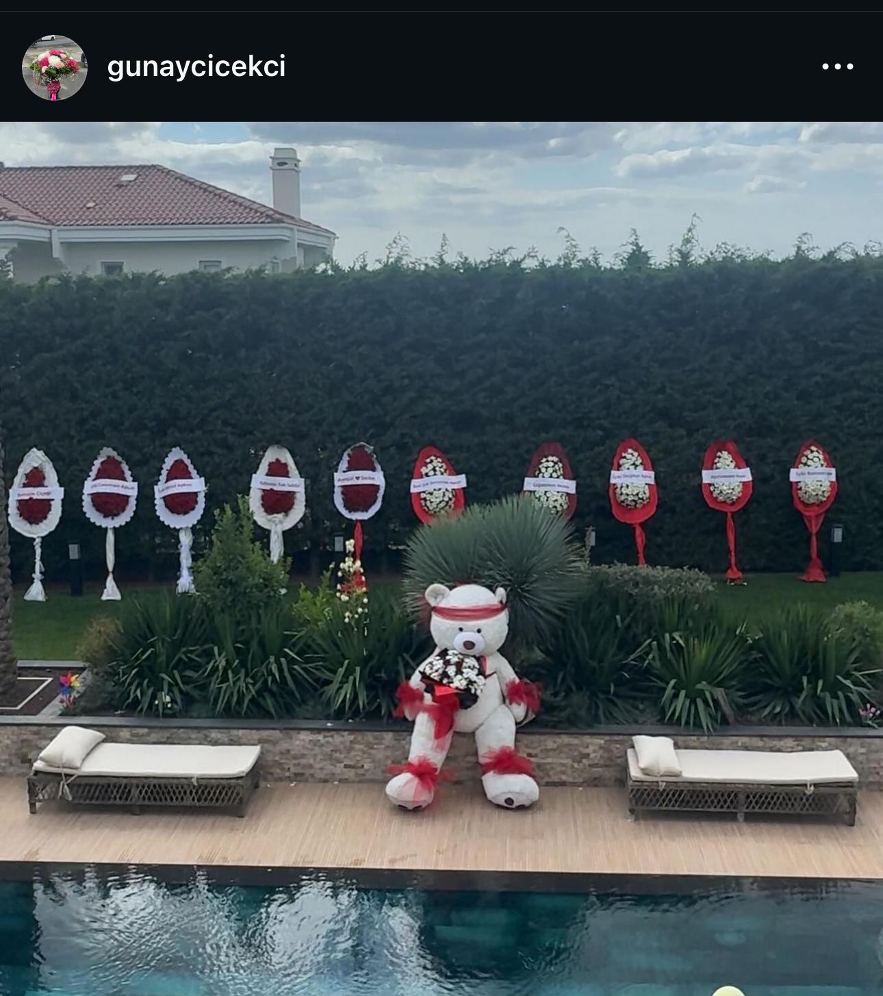 dev ayı ve çelenk konsepti 