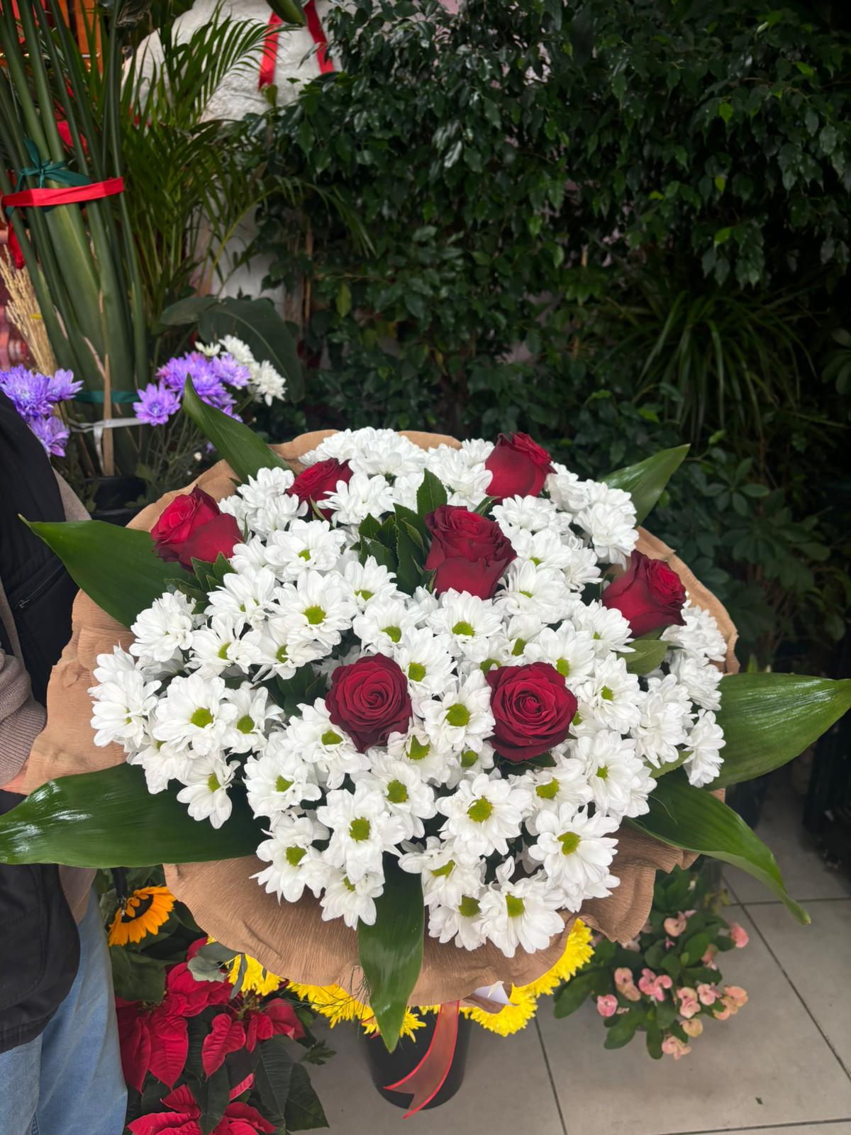 biçme ve kırmızı güller1 