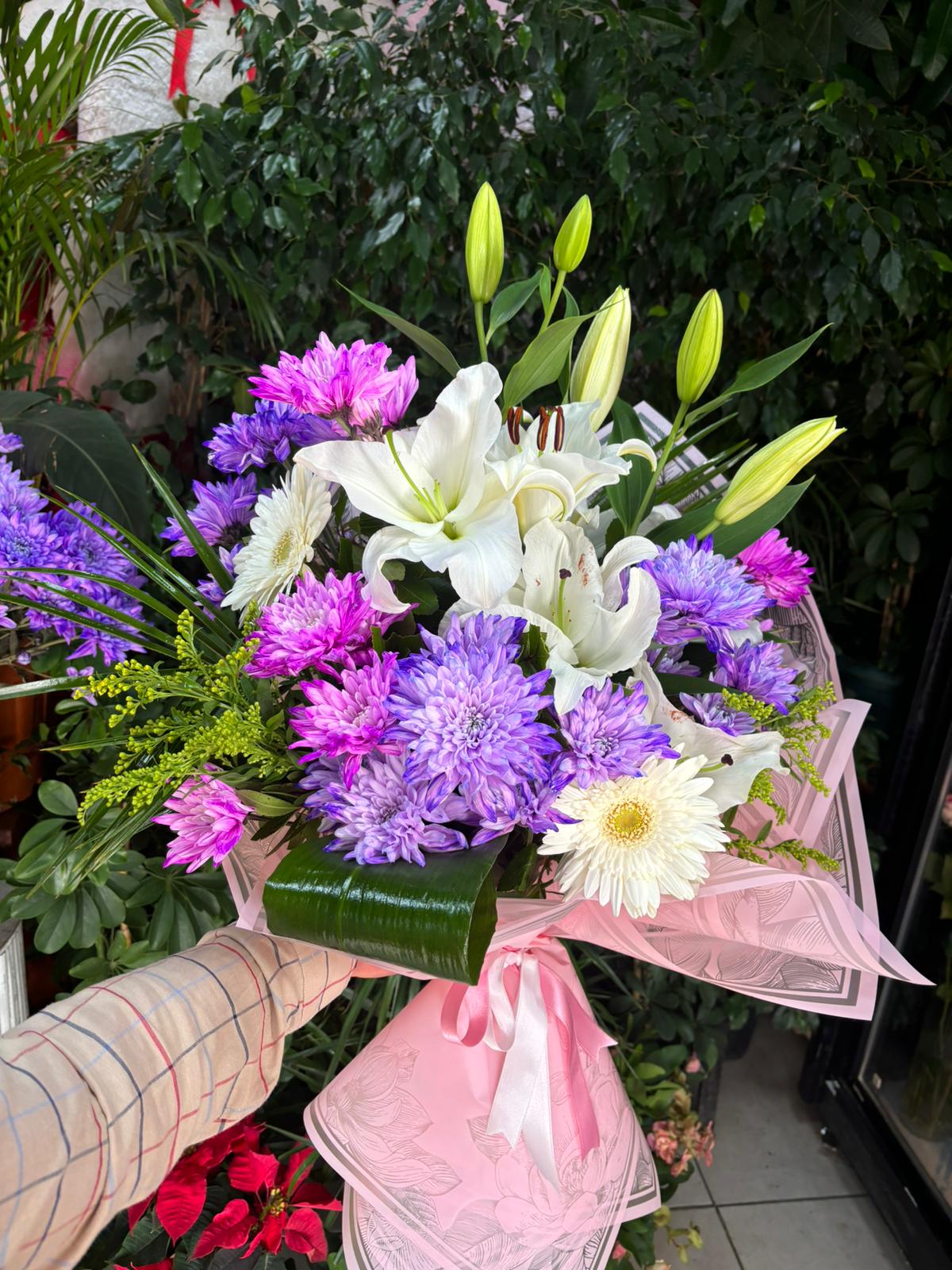 lilyum biçme cerbara 