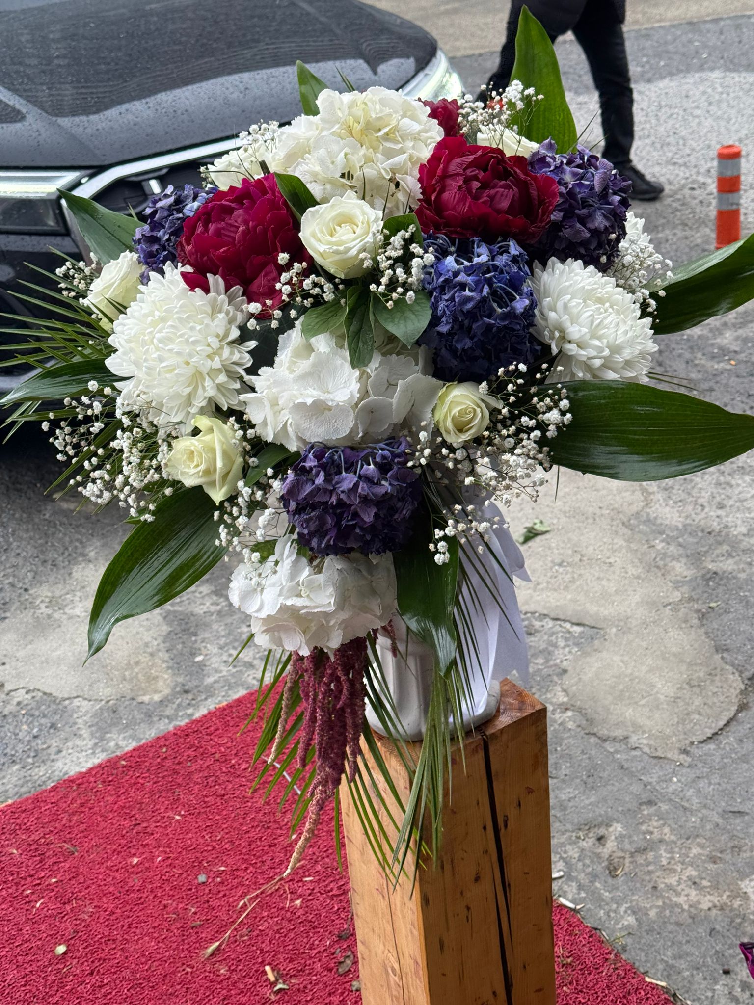 MOR ŞAKAYIK ORTANCA 